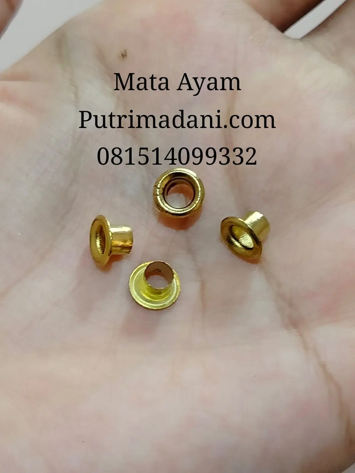 Mata Ayam untuk Hang Tag